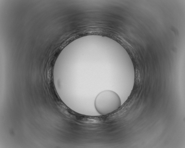 X0000113070475200908281014