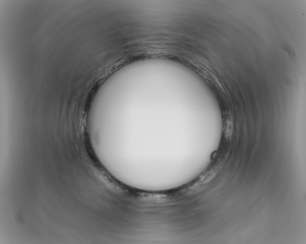 X0000113070476200908281014