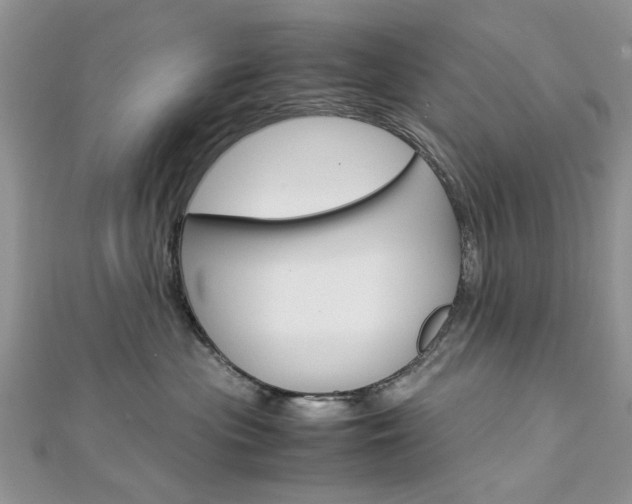 X0000113070477200908281014