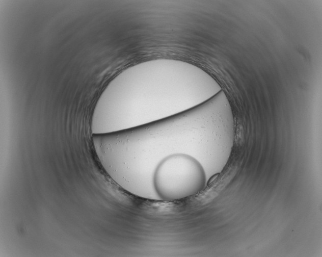 X0000113070478200908281014