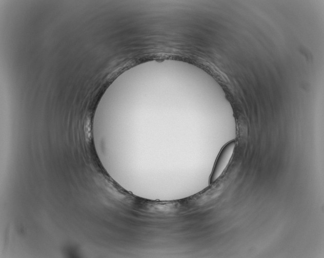 X0000113070479200908281014