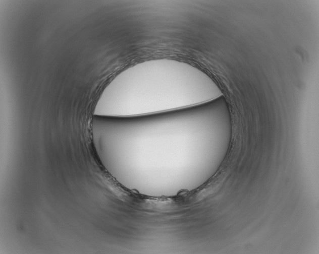 X0000113070480200908281014
