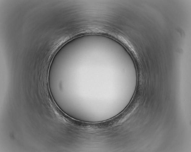 X0000113070481200908281014