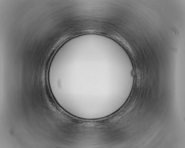 X0000113070482200908281014