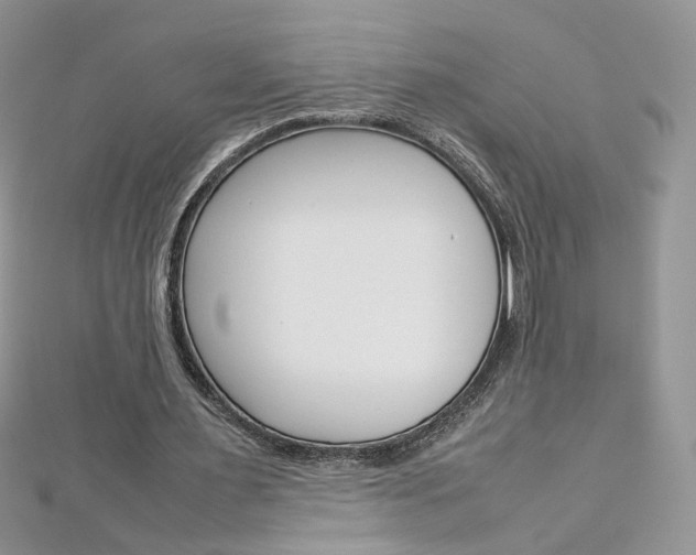 X0000113070483200908281014