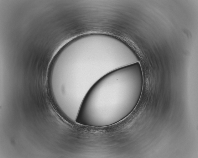 X0000113070484200908281014