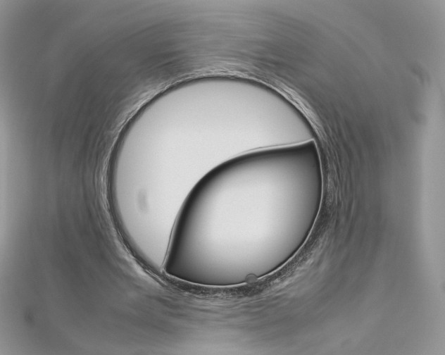 X0000113070485200908281014