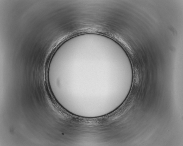 X0000113070486200908281014