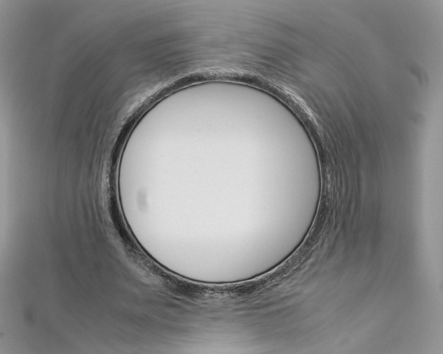 X0000113070487200908281014