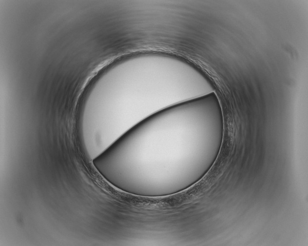 X0000113070488200908281013