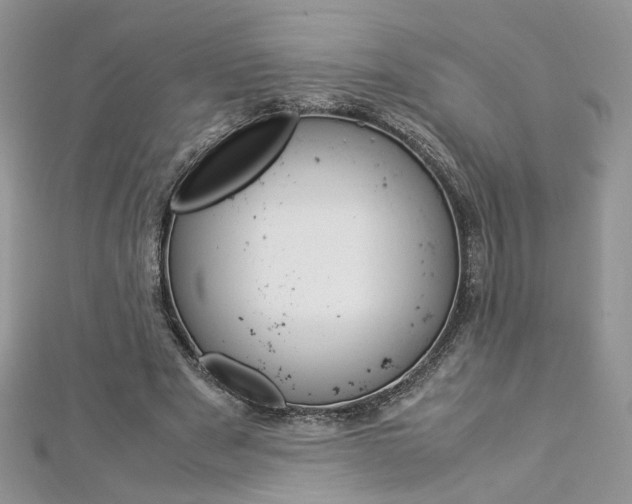 X0000113070489200908281013