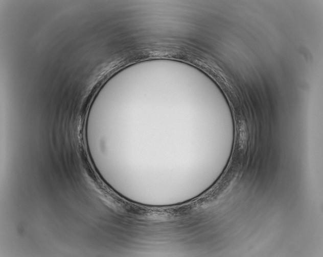 X0000113070490200908281013