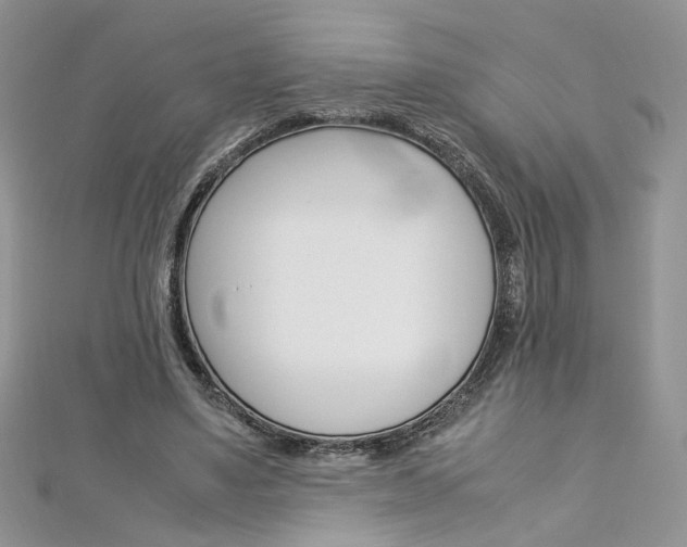 X0000113070491200908281013