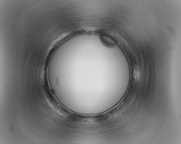 X0000113070492200908281013
