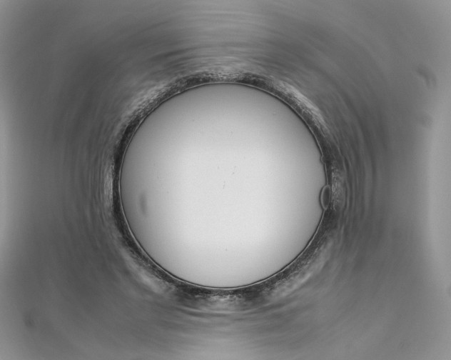 X0000113070493200908281013