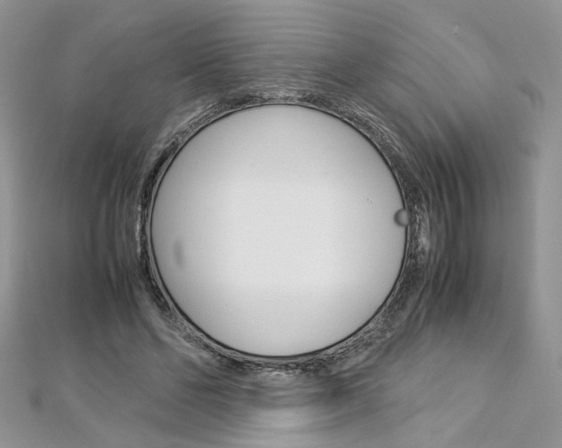 X0000113070494200908281013