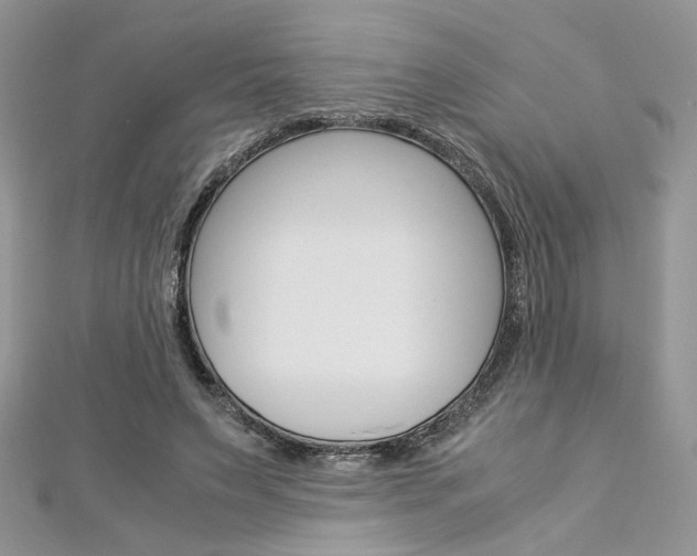 X0000113070495200908281013
