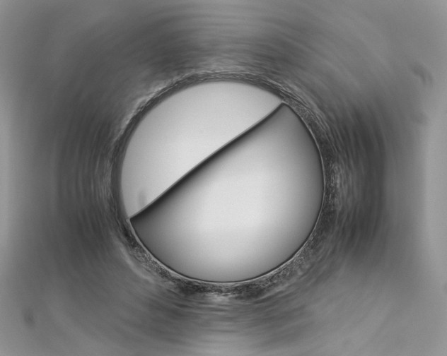 X0000113070496200908281013