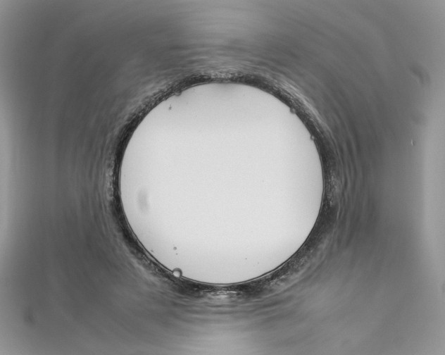 X0000113070497200908281013