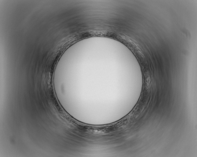 X0000113070498200908281013