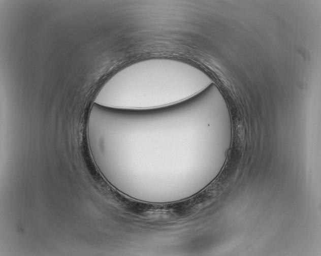 X0000113070499200908281013