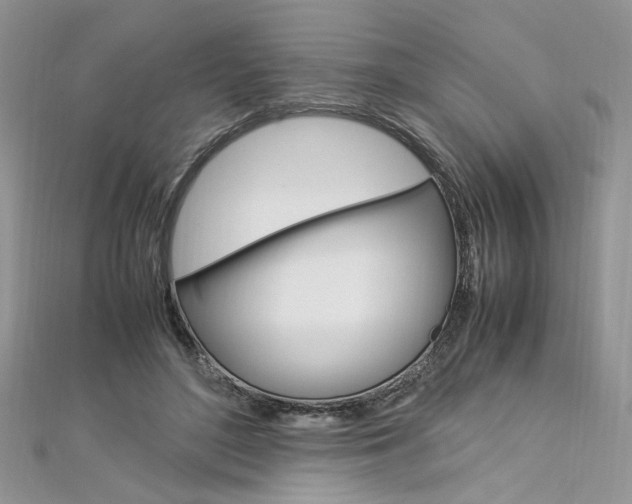 X0000113070500200908281013