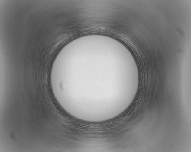 X0000113070501200908281013