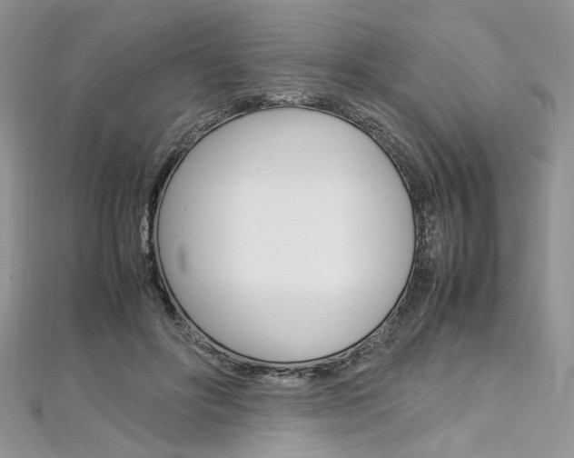 X0000113070502200908281013
