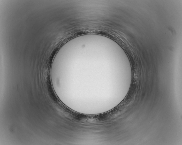 X0000113070503200908281013