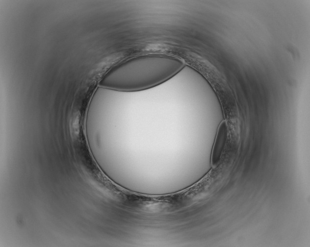 X0000113070504200908281013