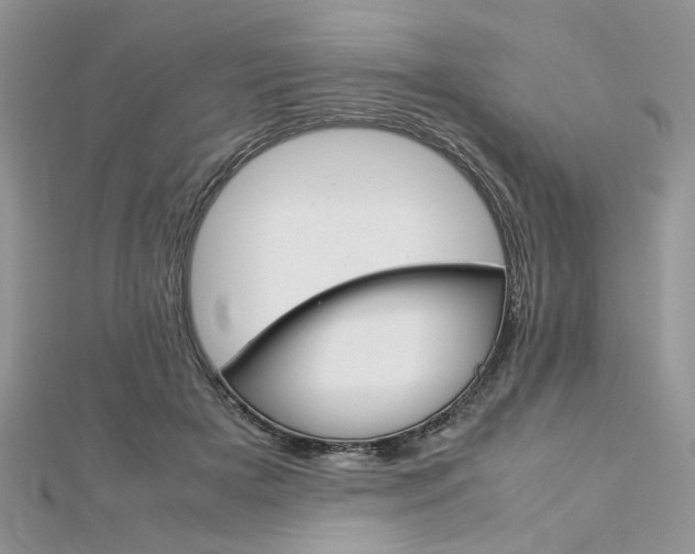 X0000113070505200908281013