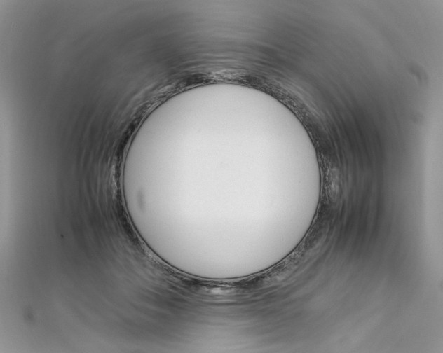 X0000113070506200908281013