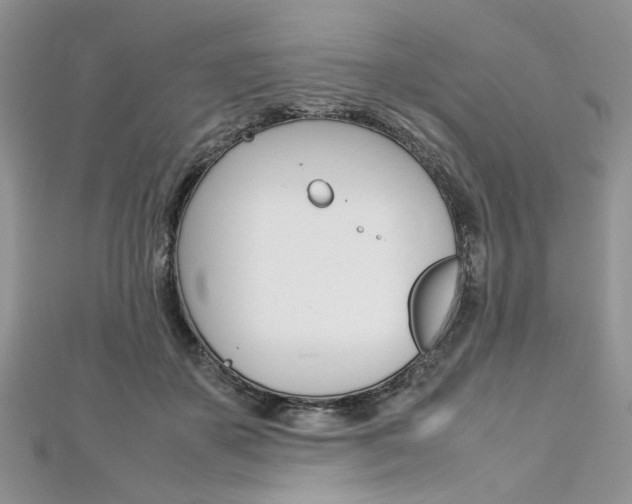 X0000113070507200908281013