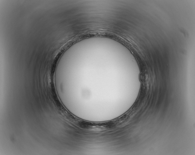 X0000113070508200908281013
