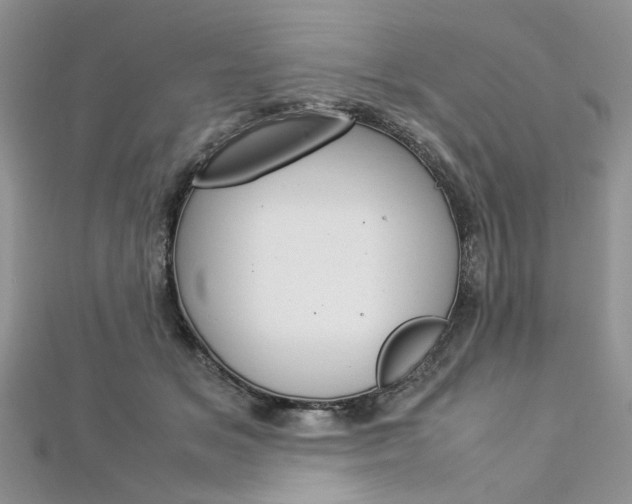 X0000113070509200908281013