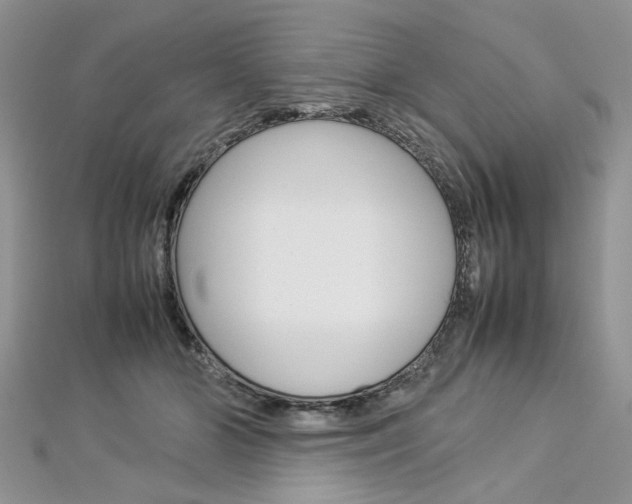 X0000113070510200908281013