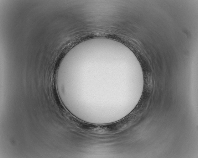 X0000113070511200908281013