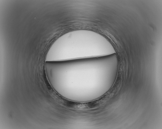 X0000113070513200908281013