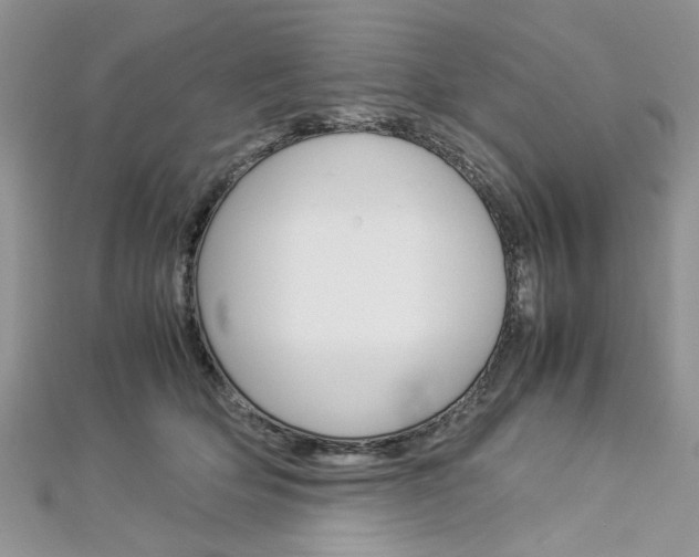 X0000113070514200908281013
