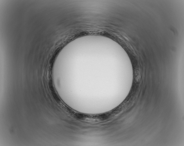 X0000113070515200908281013