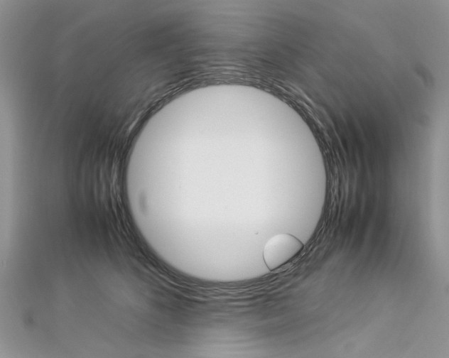 X0000113070516200908281013