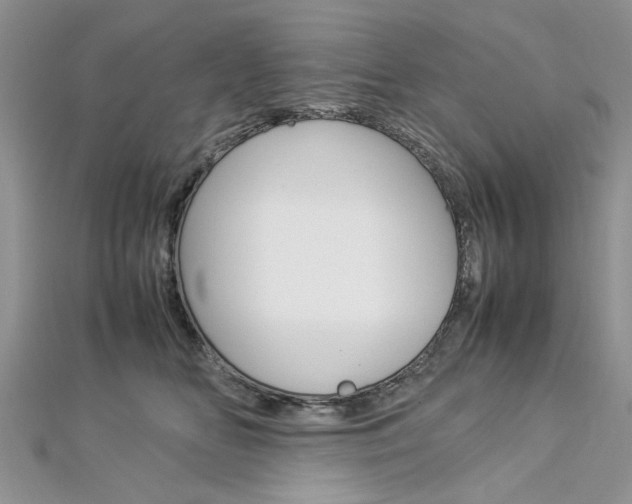 X0000113070518200908281013
