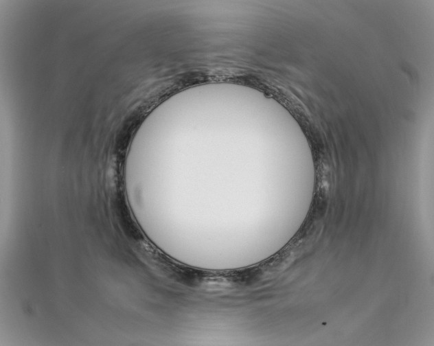 X0000113070519200908281013
