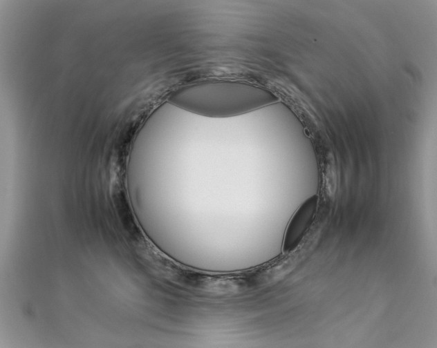 X0000113070520200908281013