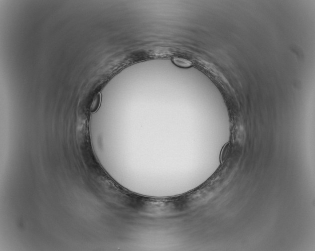 X0000113070521200908281013
