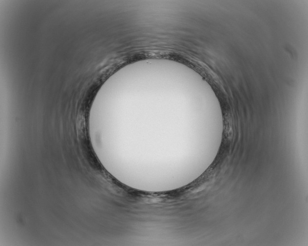 X0000113070523200908281013