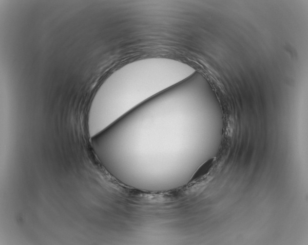 X0000113070524200908281013