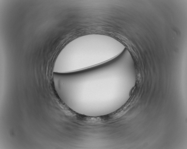 X0000113070525200908281013