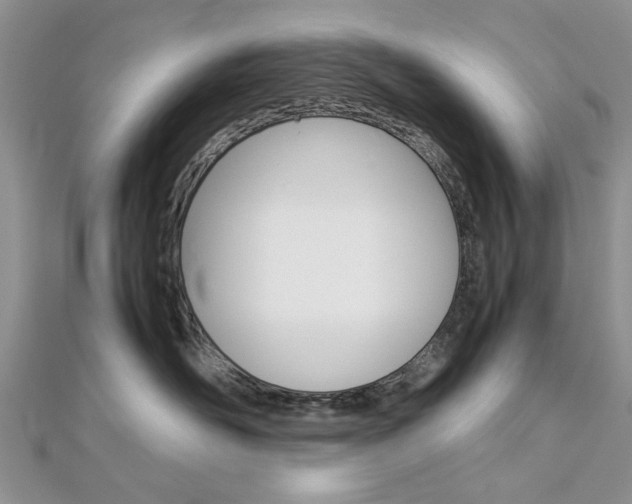 X0000113070526200908281013