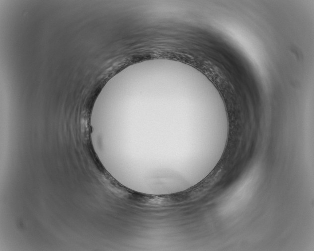 X0000113070527200908281013